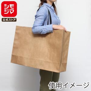 HEIKO 手提げ紙袋 LLワイド 10枚入の高価買取価格