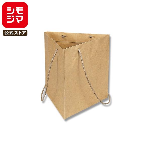 HEIKO 紙袋 手提げ紙袋 トライバッグ No.2 未晒無地 一辺の幅280×高さ280mm/手紐...