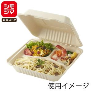 弁当箱 使い捨て 食品容器 50枚入 つつみ 竹皮柄 PPL-2