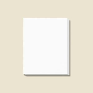 HEIKO（ヘイコー） ギフト ボックス 10枚 白無地箱 カバン箱 C