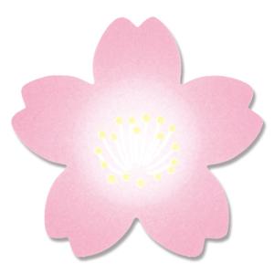 さくら ギフト シール 500片 ロールシール 紅桜 シモジマ HEIKO｜propack-kappa1