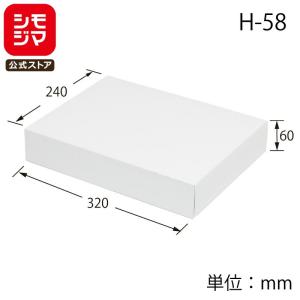 HEIKO（ヘイコー） ギフト ボックス 10枚 白無地箱 カバン箱 C