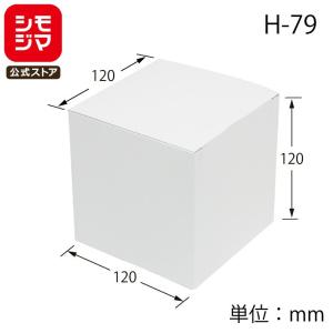 HEIKO（ヘイコー） ギフト ボックス 10枚 白無地箱 H-81 サック式