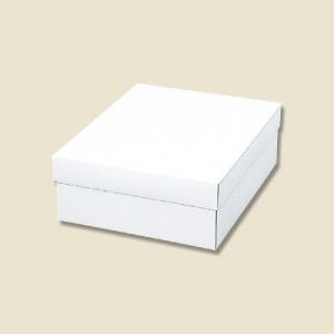 HEIKO（ヘイコー） ギフト ボックス 10枚 白無地箱 カバン箱 C