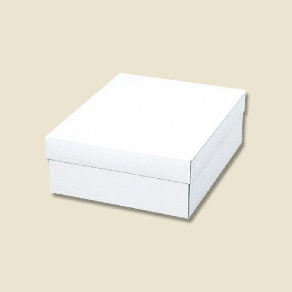 ギフト ボックス 10枚 白無地箱 カバン箱 A 組み立て式 シモジマ HEIKO