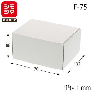 HEIKO（ヘイコー） ギフト ボックス 10枚 白無地箱 カバン箱 C