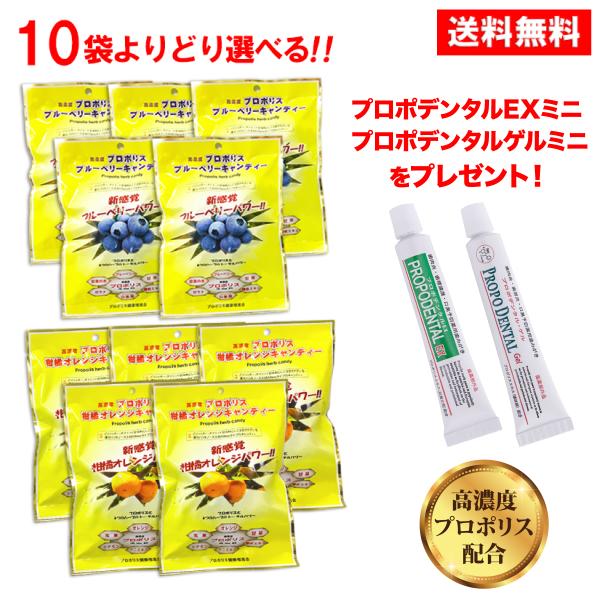 プロポリスキャンディー よりどり10袋 おまけ付き プロポリス 高濃度配合 のど飴 抗菌 殺菌 感染...