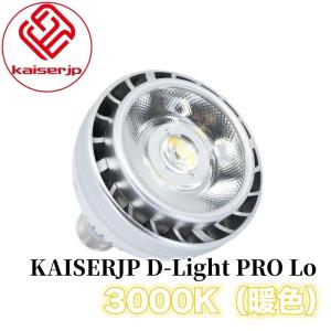 【KAISERJP D-Light（光色：オレンジ）】ディテイリングライト ワークライト LED 洗車 仕上げ メンテナンス プロ仕様 カー用品 車用品 カーメンテナンス BULLET