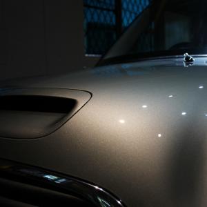 【KAISERJP D-Light(光色:オレ...の詳細画像5