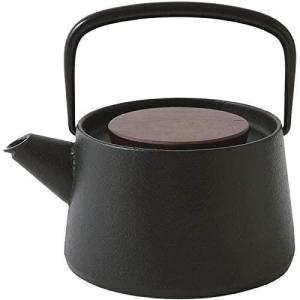 池永鉄工 南部鉄器 tetu 1L 鉄瓶 日本製 : アイリストップマート