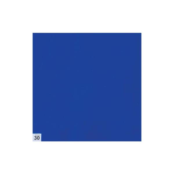 トラスコ中山(株) TRUSCO まとめ買い エアーシャワー用粘着シート(穴なし) 300X300 ...