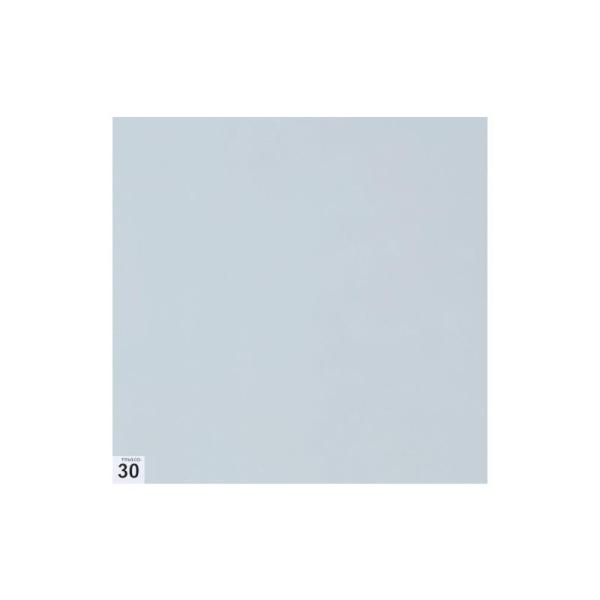 トラスコ中山(株) TRUSCO まとめ買い エアーシャワー用粘着シート(穴なし) 300X300 ...