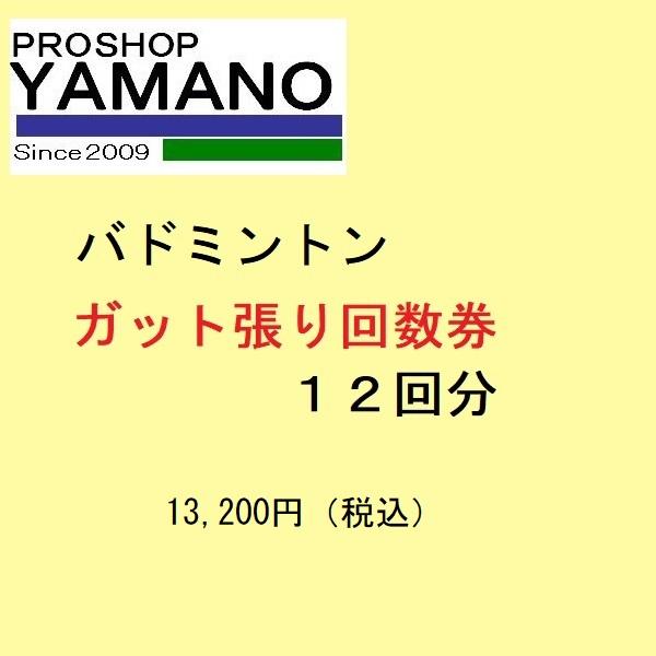 バドミントン　ガット張り替え回数券