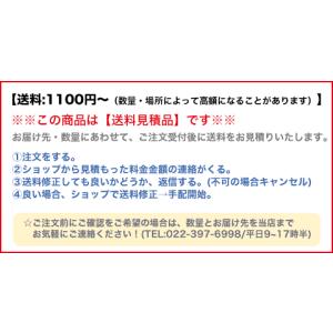 送料見積品 法人のみ Cエンジニア (/BH)...の詳細画像4