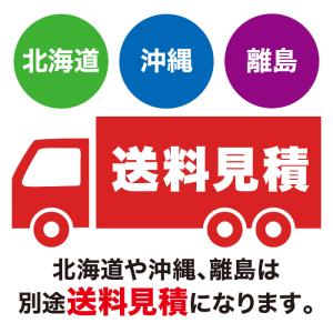 法人のみ スーパー工業 (/AN) タービンガ...の詳細画像4
