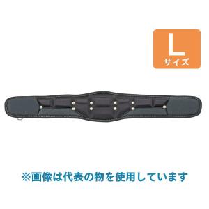 Tajima（タジマ） 安全帯胴当てベルト Sサイズ 600mm GAXW600 (/D