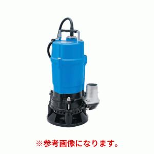 寺田ポンプ 水中ポンプ PG-250 (単相100V/0.25kW/非自動型