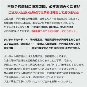 GT SNOWBOARDS BUFF ジーティ...の詳細画像5