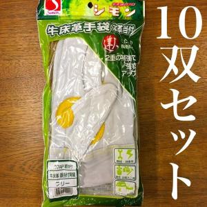 富士グローブ オイル マジック付き 皮手袋 革手袋 SW-32B 10双組 国産