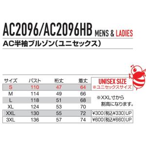 AC2096L AC2096HBL AC209...の詳細画像3