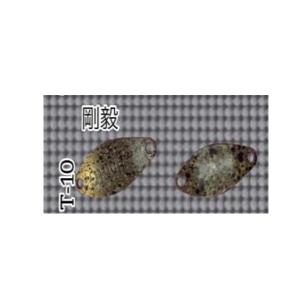 New Drawerニュードロワー ハントグランデ 1.3g 問屋カラー : ウインズ