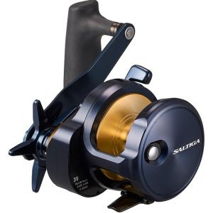 DAIWA（ダイワ） 25 ソルティガ 35HL 左ハンドル (2025年モデル