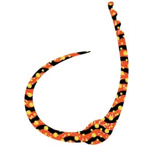 ささラボ シングルコブラ・カーリー 厚み0.5mm 54×80mm 入数3 #06 オレンジゼブラ金ドット【メール便OK】