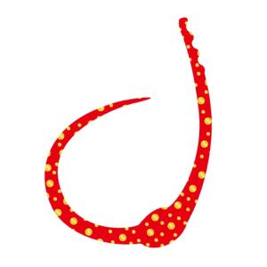 ささラボ シングルコブラ・カーリーJr. 厚み0.4mm 43×64mm 入数4 #01 レッド金ドット【メール便OK】
