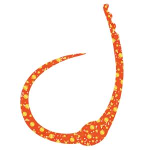 ささラボ シングルコブラ・カーリーJr. 厚み0.4mm 43×64mm 入数4 #02 オレンジ金ドット【メール便OK】