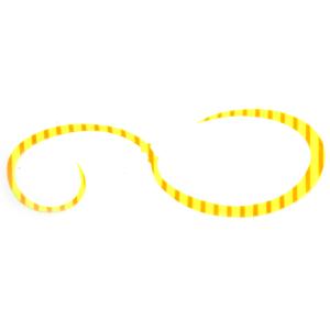 ライズジャパン なみだまネクタイ ちょうどよカーリー 入数3 #NC17 チャートオレンジゼブラ【メール便OK】