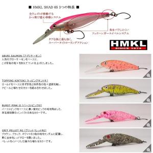 アイジェットリンク ブラストイットミノー 66S エリアホト