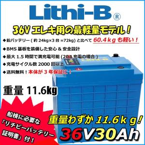 リチウムイオンバッテリー リチビー 12V60A 充電器セット LVYUAN 自動バッテリー充電器リン酸鉄リチウムイオンバッテリー専用