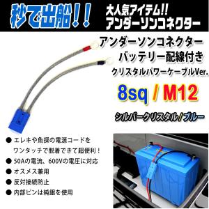 リチビー(Lithi-B) リチウムバッテリー 12V60Ah LiFePO4 (リン酸鉄 