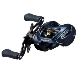 DAIWA（ダイワ） 24スティーズSV TW 100XHL ギア比8.5:1 自重160g 最大