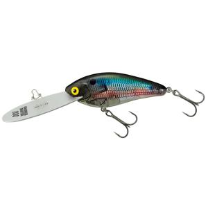 DSTYLE/ディスタイル GEELACANTH 5.8inch/ギーラカンス 5.8インチ Feco