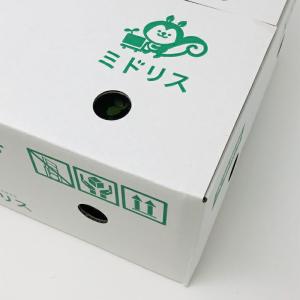 クラピア K5 薄桃 9cmポット苗 10鉢 ...の詳細画像1
