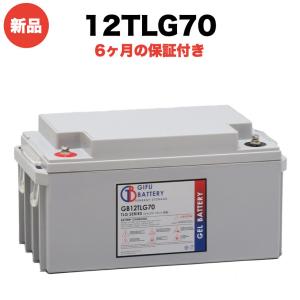 12TLG70 新品 岐阜バッテリー オリジナルVRLA鉛蓄電池 本体 送料無料（本州・四国・九州）｜prosit