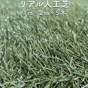 法人限定特価 リアル人工芝 芝丈30mm 2m×5m つや消しタイプ シンセイ