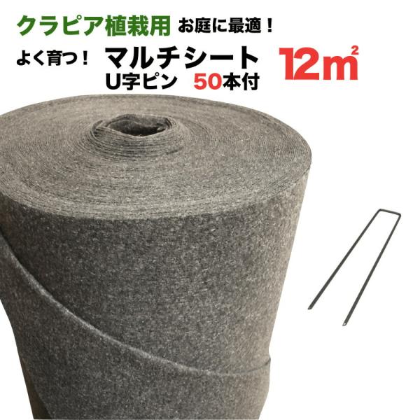 クラピア専用マルチシートセットお庭用 シート1m×12m（12m2）+ U字型ピン（50本） クラピ...