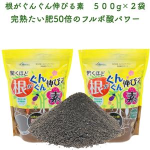 驚くほど根がぐんぐん伸びる素 500g×2袋 園芸用 グランドカバー 土壌改良剤 天然の腐植物質 フルボ酸 土壌改良 ガーデニング 畑 野菜｜prosit