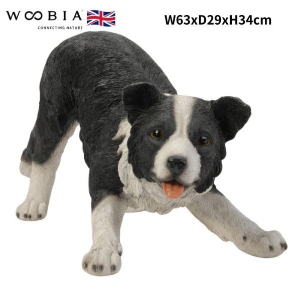 置物 じゃれるボーダーコリー 犬 イヌ 特大 高さ34cm woobia 動物 おしゃれ 大きい 玄...