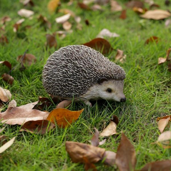 かわいい 下向くハリネズミの置物 動物 おしゃれ 玄関 インテリア ガーデンオーナメント 庭