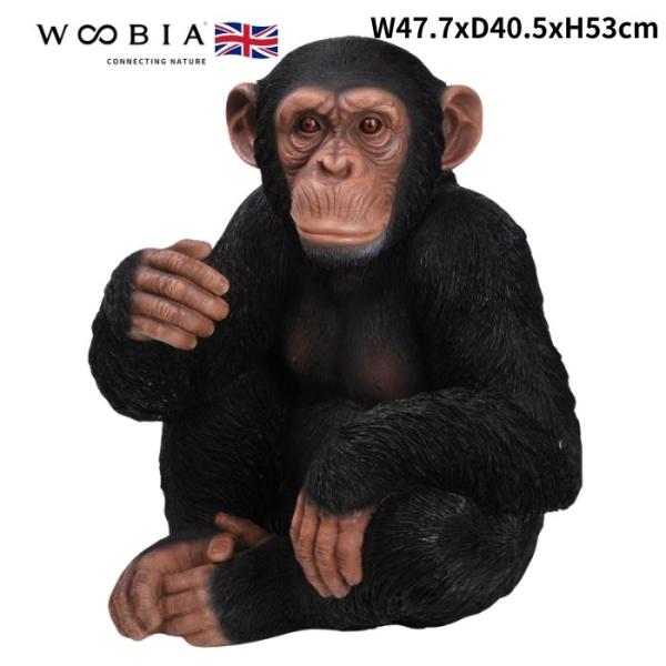 置物 チンパンジー 高さ53cm おしゃれ 大きい 玄関 インテリア 庭 ガーデン かわいい オブジ...