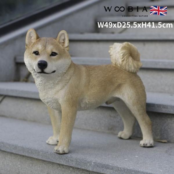 置物 左向きに立つ柴犬 イヌ 大 高さ41.5cm woobia 動物 おしゃれ 大きい 玄関インテ...