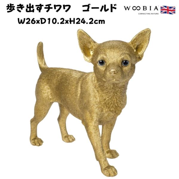 置物 歩き出すチワワ ゴールド 金色 縁起物 高さ24.2cm woobia 動物 おしゃれ 大きい...