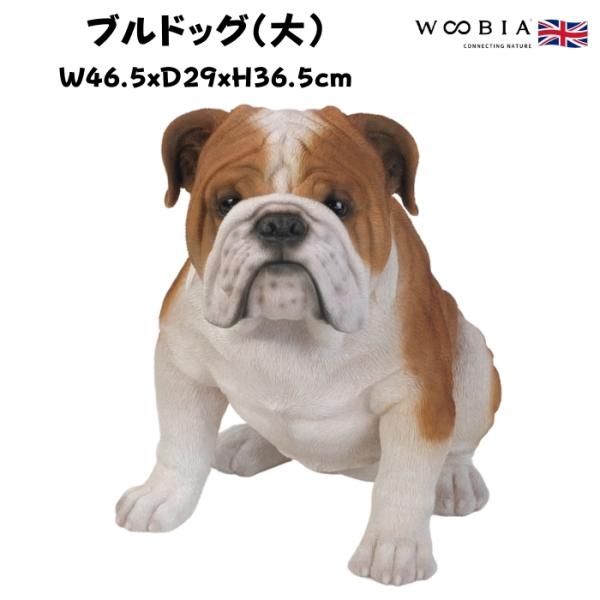 置物 ブルドッグ 大 犬 グッズ 高さ36.5cm woobia 動物 おしゃれ 大きい 玄関 イン...