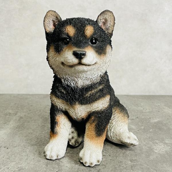 かわいい 犬 置物 黒柴の子犬 イヌ 動物 おしゃれ 玄関 贈り物 可愛い インテリア ガーデンオー...