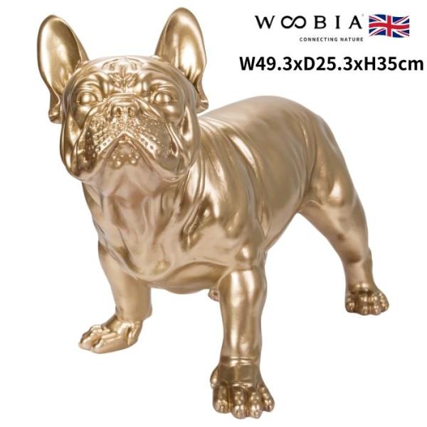 置物 スムースゴールドのフレンチ・ブルドッグ 犬 イヌ 高さ35cm 縁起物 woobia 動物 お...