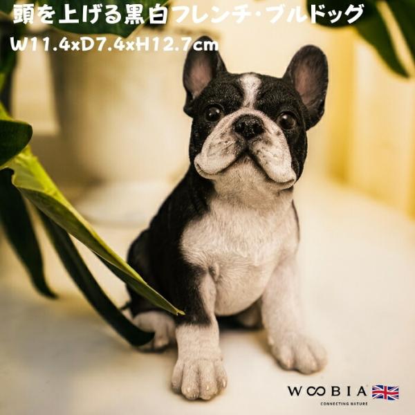置物 犬 かわいい 動物 玄関 頭を上げる黒白フレンチブルドッグ リアル インテリア ガーデンオーナ...