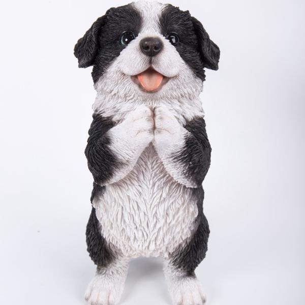 かわいい犬の置物 おねだりボーダーコリー 高さ22cm イヌ 動物 おしゃれ 玄関 インテリア ガー...